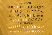 Rudgen - Modern Elegant Serif Font, a Serif Font by Qweera Studio (Thumbnail 10 of 12)