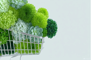 A small shopping basket containing, a Food & Drink Photo by ZinetroN