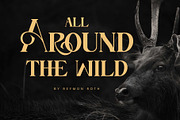 Stand For Honour, a Serif Font by Novitype (Thumbnail 6 of 10)