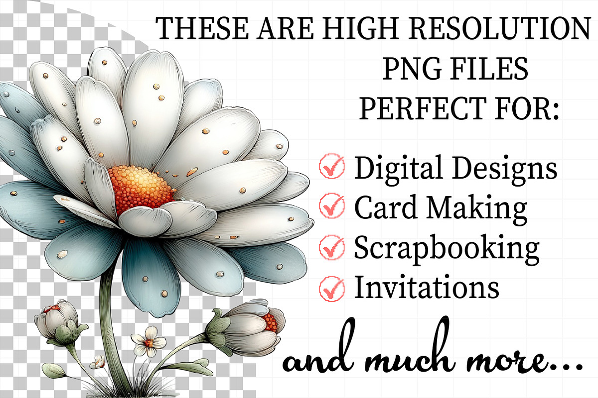 Whimsical Spring Daisy Flower Clipar, an Illustration by Daily.Designs (Photo 2 of 8)