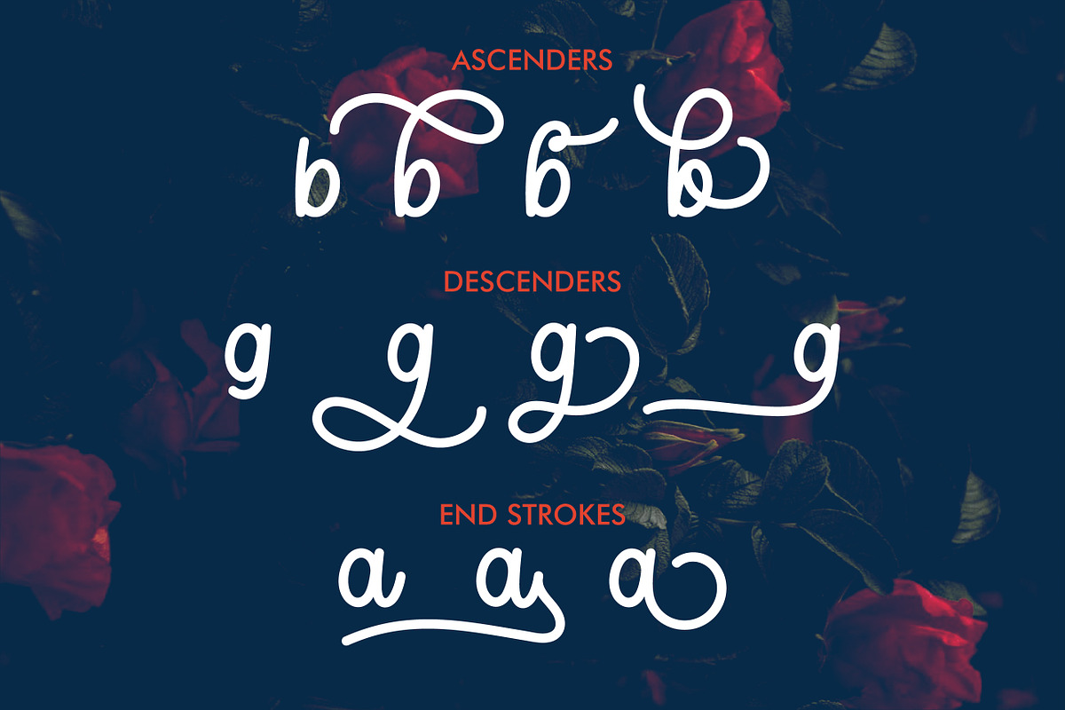 Maylina Script + Extras, a Script Font by yellowline (Photo 3 of 7)