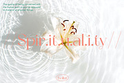ZT Bolkit - Display Serif, a Serif Font by zelow type (Thumbnail 3 of 15)