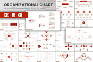 Organizational Chart Presentation