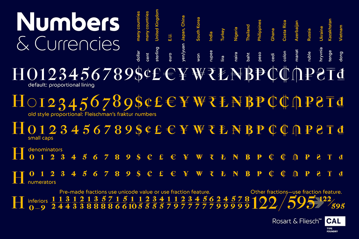 Rosart & Fleisch Hi Res ALL:10 FONTS, a Serif Font by California Type Foundry (Photo 11 of 13)