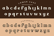 Quitery Serif Typeface Family, a Serif Font by Say Studio (Thumbnail 12 of 13)