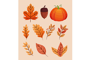 Ten Autumn Season Icons