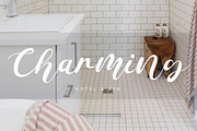 Delichan - A Beautiful Calligraphy, a Script Font by Prioritype Co (Thumbnail 4 of 10)