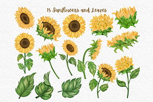 Sunflower Watercolor Clipart