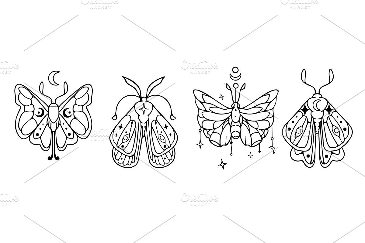 Celestial moth and butterfly set, an Illustration by art PVP - market