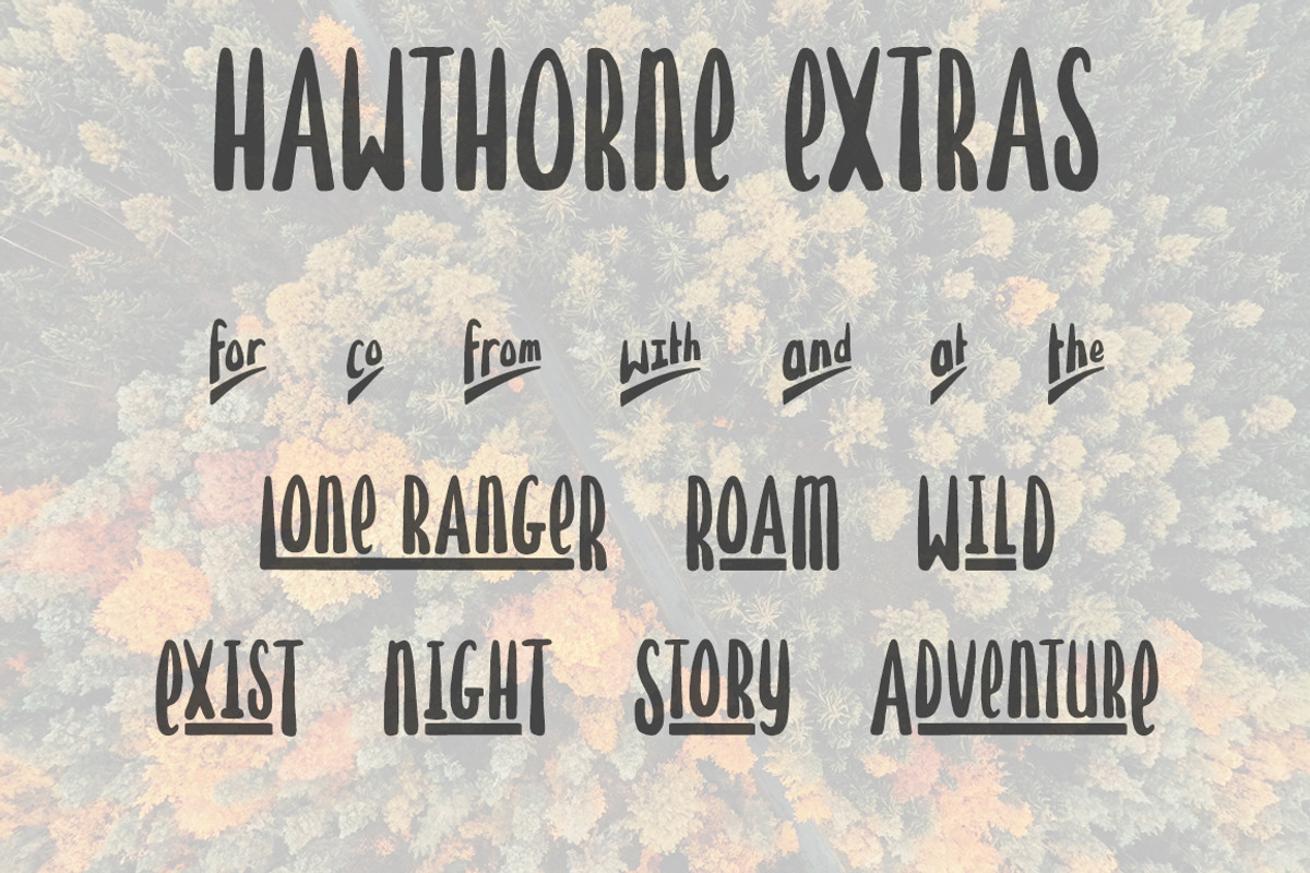 Hawthorne Hand Drawn Font preview 4