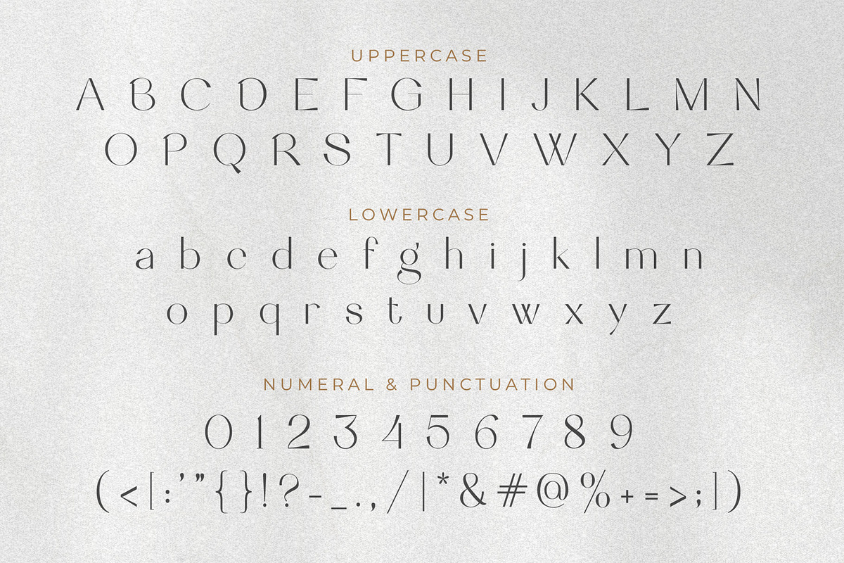 Wagiie – Serif Font with Free Mockup, a Serif Font by Nollev (Photo 6 of 16)
