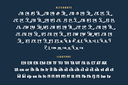 Ridasbin | Serif Classic Modernism, a Serif Font by twinstd (Thumbnail 12 of 13)