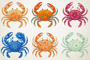 Watercolor Floral Crabs PNG Clipart, an Animal Illustration by RobertsArt (Thumbnail 2 of 6)