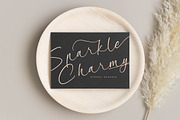 Garden Silent Elegant Script Font, a Script Font by stylishtype.co (Thumbnail 16 of 20)