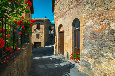 Stone houses and garden with roses, an Architecture Photo by Alpine Dreams