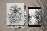 Tropical black& white plants, a Decorative Illustration by Jeanna Draw (Thumbnail 5 of 17)