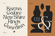 Bjork Serif, a Serif Font by CCS-Type.com (Thumbnail 22 of 30)
