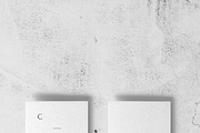 Clementine Business Card Template, a Business Card Template by The Denizen Co. (Thumbnail 3 of 4)