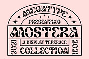 Mostera, a Serif Font by Megatype (Thumbnail 15 of 15)