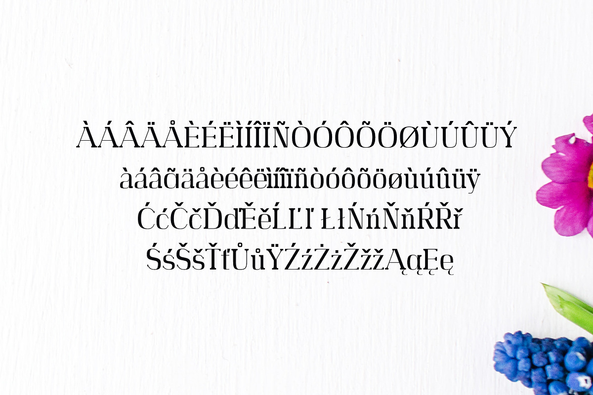 Adie High Class Serif 4 Font Family preview 5