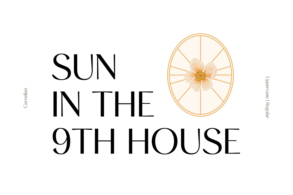 CARNELIAN - Display Variable Type, a Sans Serif Font by Artflorara (Photo 8 of 16)