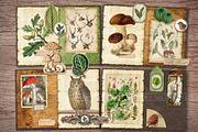 Forest Scrapbooking Kit, an Animal Illustration by Secret Helper (Thumbnail 3 of 9)