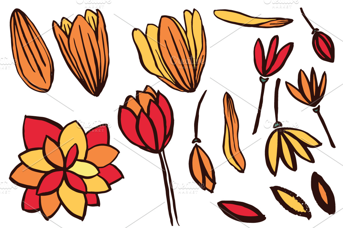 90 hand drawn ink elements, a Decorative Illustration by pixelwerk (Photo 3 of 6)