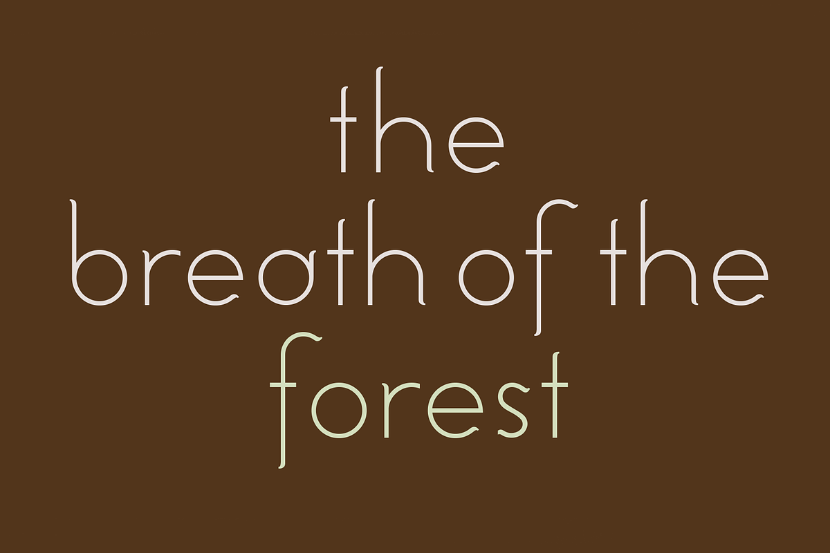 Hutan. Beautiful modern font., a Sans Serif Font by LostandFoundry (Photo 3 of 8)
