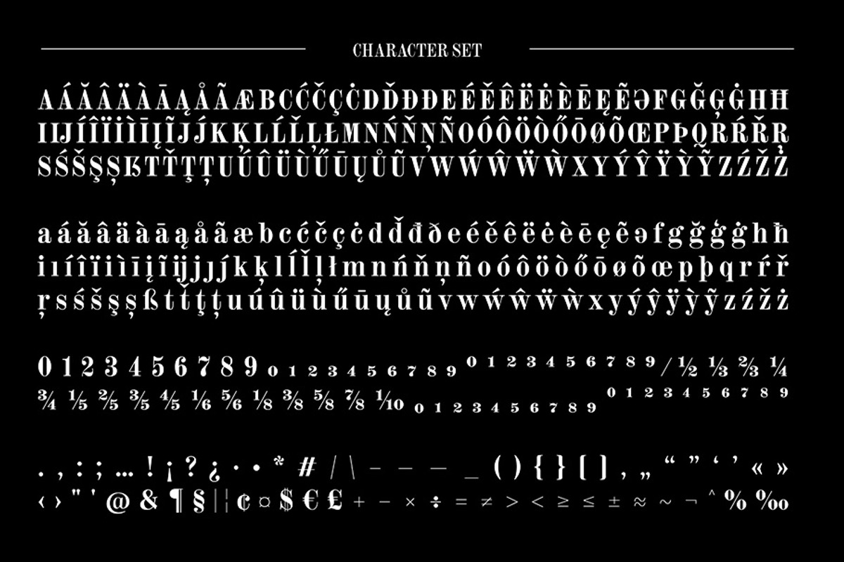 RIZZ Font, a Serif Font by TypeThis!Studio (Photo 10 of 10)