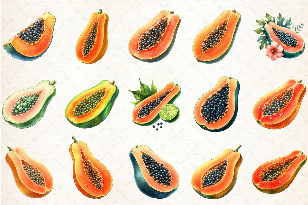 Watercolor Papaya Fruit Clipart, an Illustration by Rose Art (Photo 2 of 7)