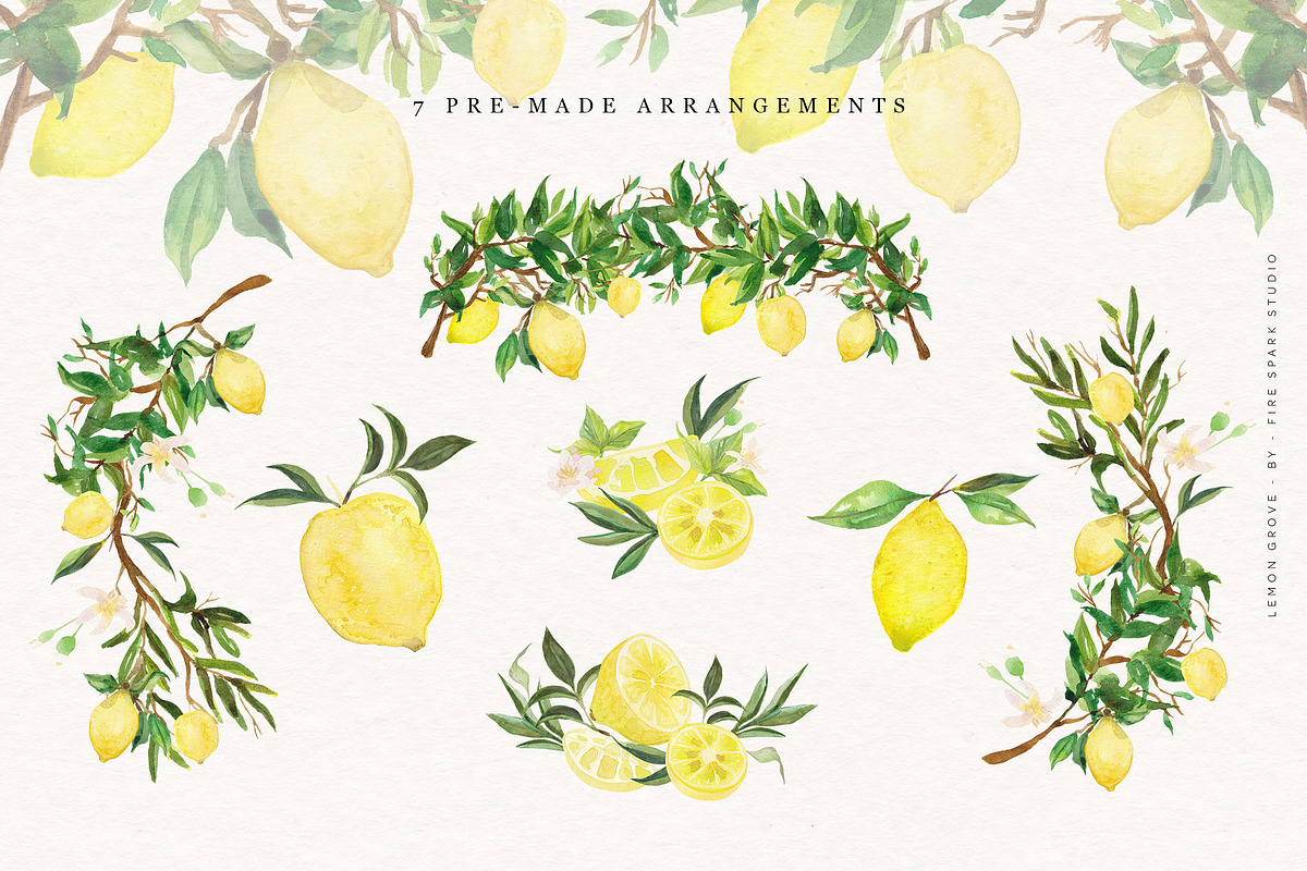 Lemon Grove Watercolor Illustrations, an Illustration by Fire Spark Studio (Photo 5 of 8)