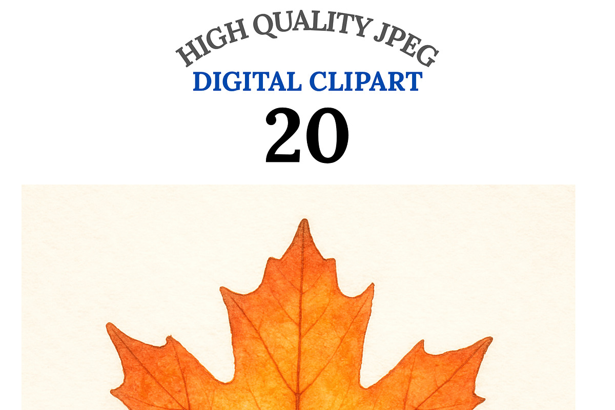 Autumn Leaf Clipart Bundle, a Decorative Illustration by Pati Charm Studio (Photo 1 of 8)