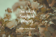 Moonlit Lovers Romantic Script Font, a Handwritten Font by Kellie Jayne Studio (Thumbnail 6 of 10)