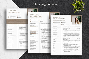 Professional Canva CV Template Pack