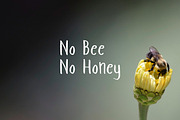 Luv Honey, a Sans Serif Font by ArdiDesigns (Thumbnail 3 of 3)