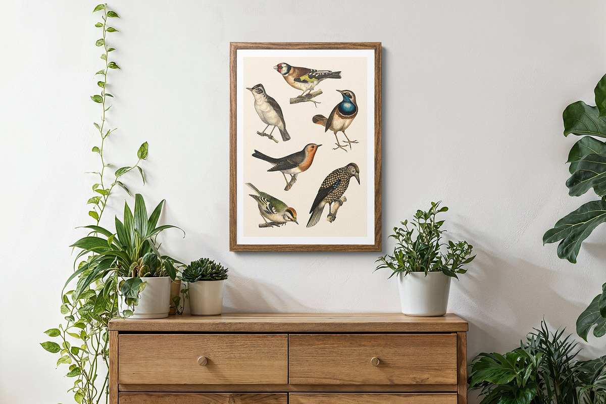 122 Vintage Illustrations of Birds, an Animal Illustration by Graphic Goods (Photo 6 of 14)