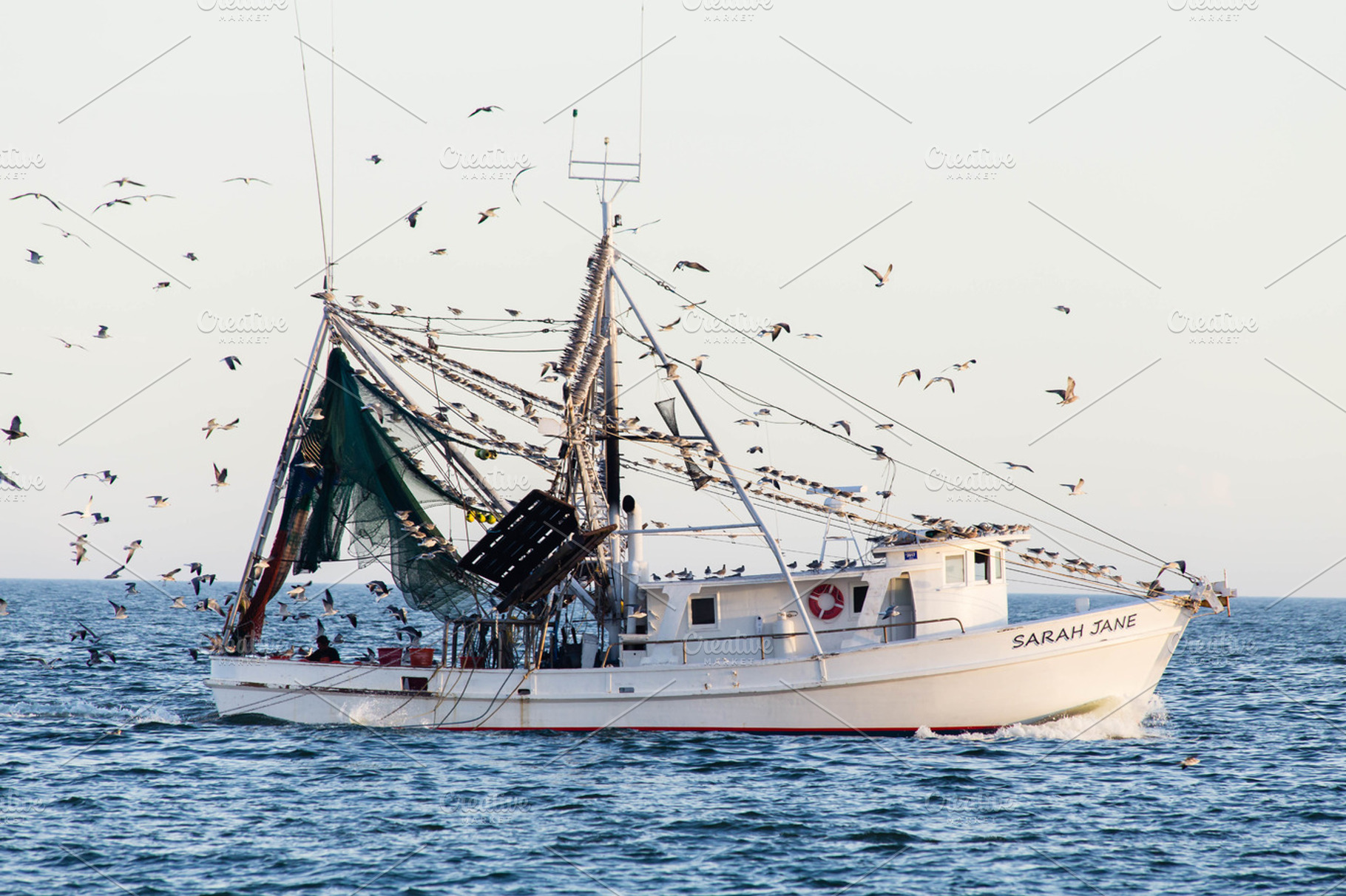 Shrimping Boat II, a Transportation Photo by Tamara Lance
