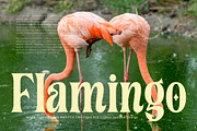 Cahileros Retro Bold Serif Font, a Serif Font by timelesstype.co (Thumbnail 14 of 20)