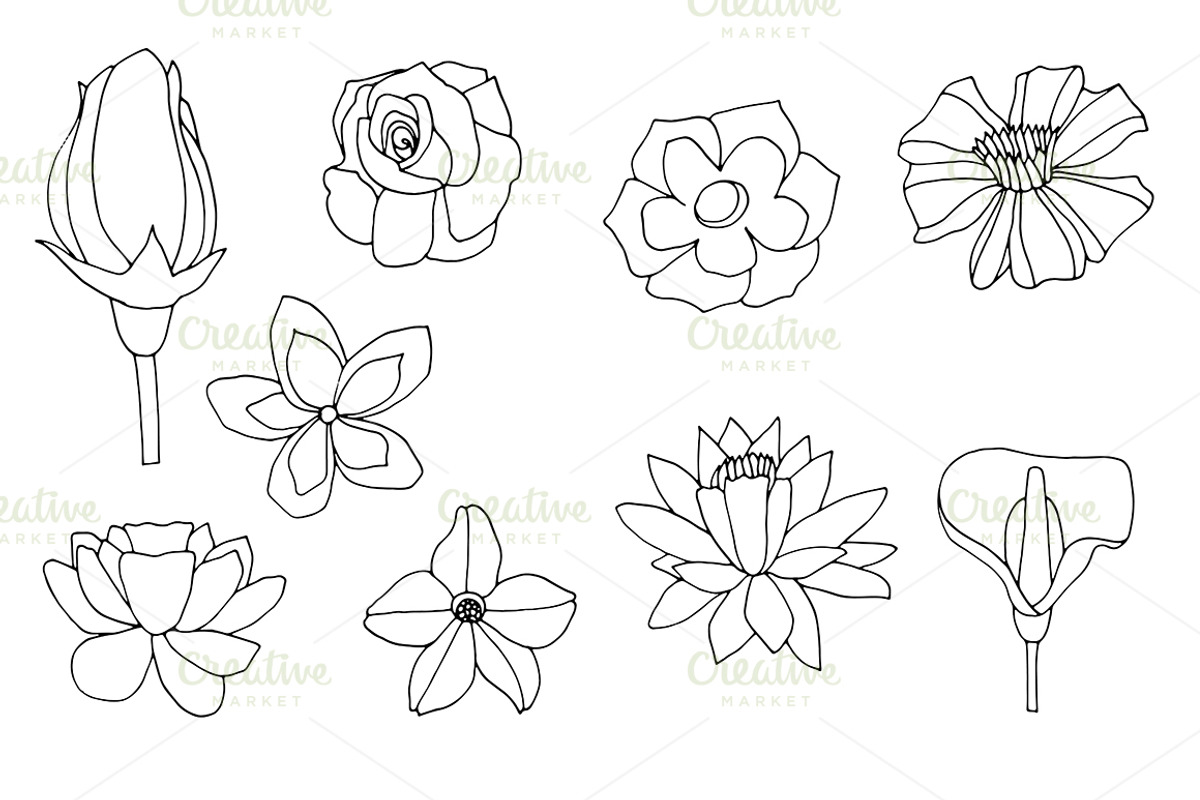 Set flowers, an Object Graphic by IllustrationArtShop