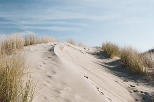 Sand Dunes by the ocean