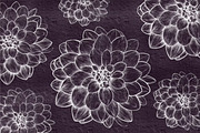 Drawing of DAHLIA Flower Line Art, a Decorative Illustration by Sense Library (Thumbnail 3 of 5)