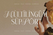 Menasha Brown New Hybrid Typeface, a Serif Font by Storytype Studio (Thumbnail 13 of 15)
