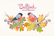 Watercolor bullfinch bird clipart, an Illustration by Art & Things (Thumbnail 3 of 5)