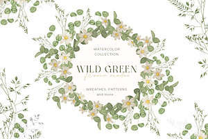 Watercolor wild flowers greenery