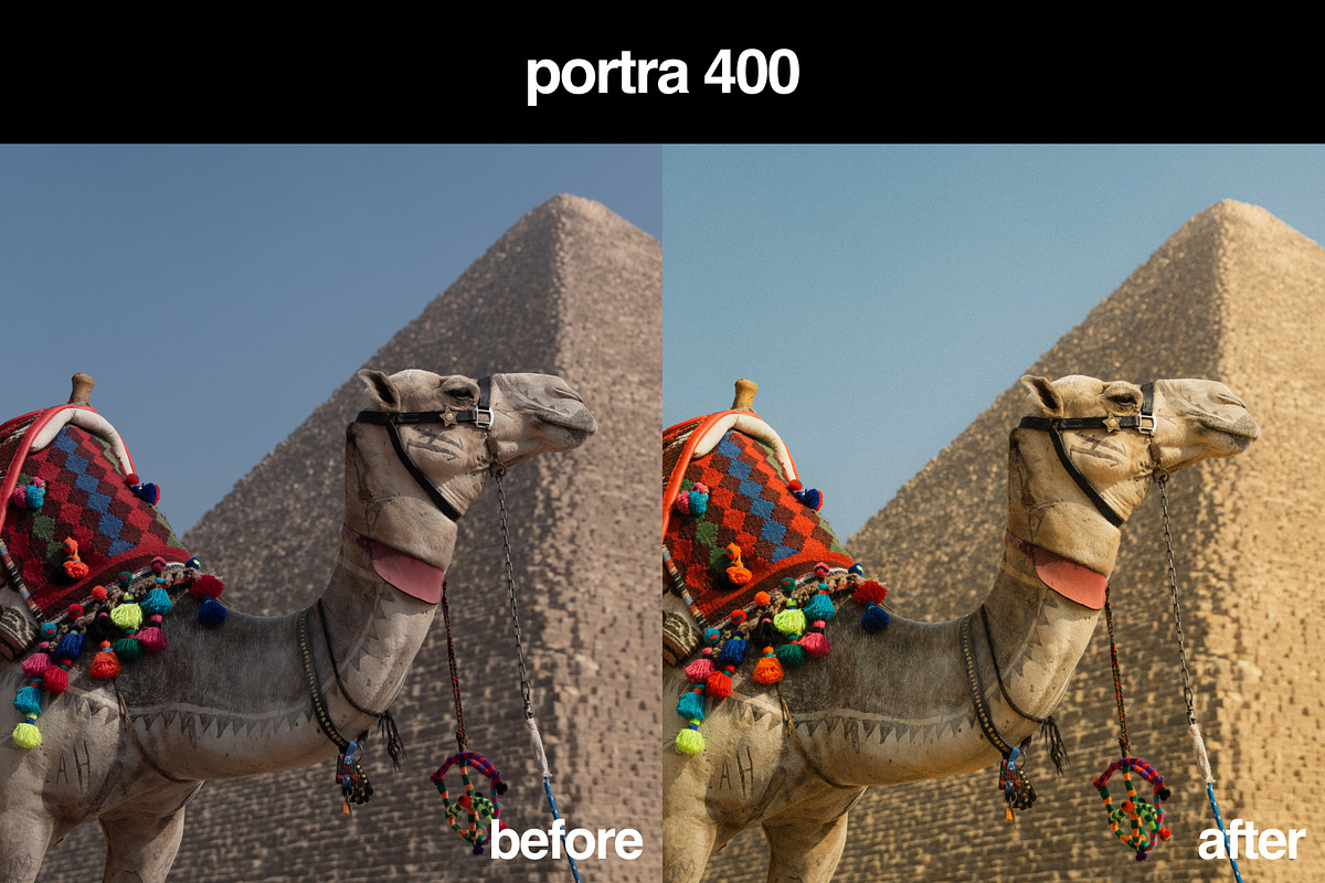 16 Portra Lightroom Preset Pack, a Preset Add-On by Gridfiti (Photo 7 of 12)