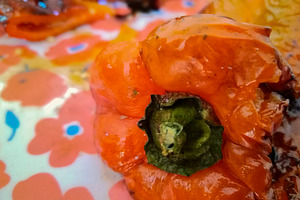 Extreme close-up of roasted red pepper on floral plate, a Food & Drink Photo by DanFLCreativo