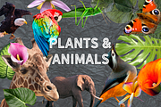 Collage creator SET & Alphabet, an Animal Illustration by Alexiva (Thumbnail 2 of 9)