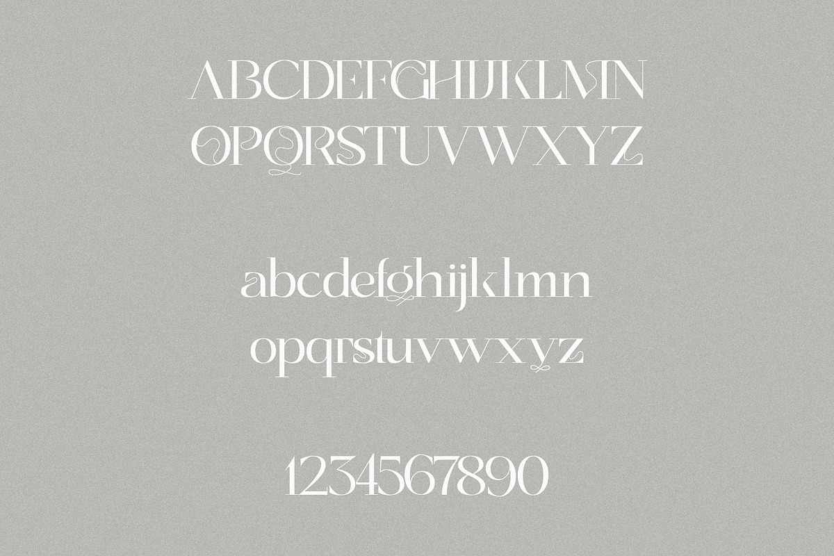 Dynasty - Curly Display Serif, a Serif Font by subkulturetype (Photo 7 of 8)