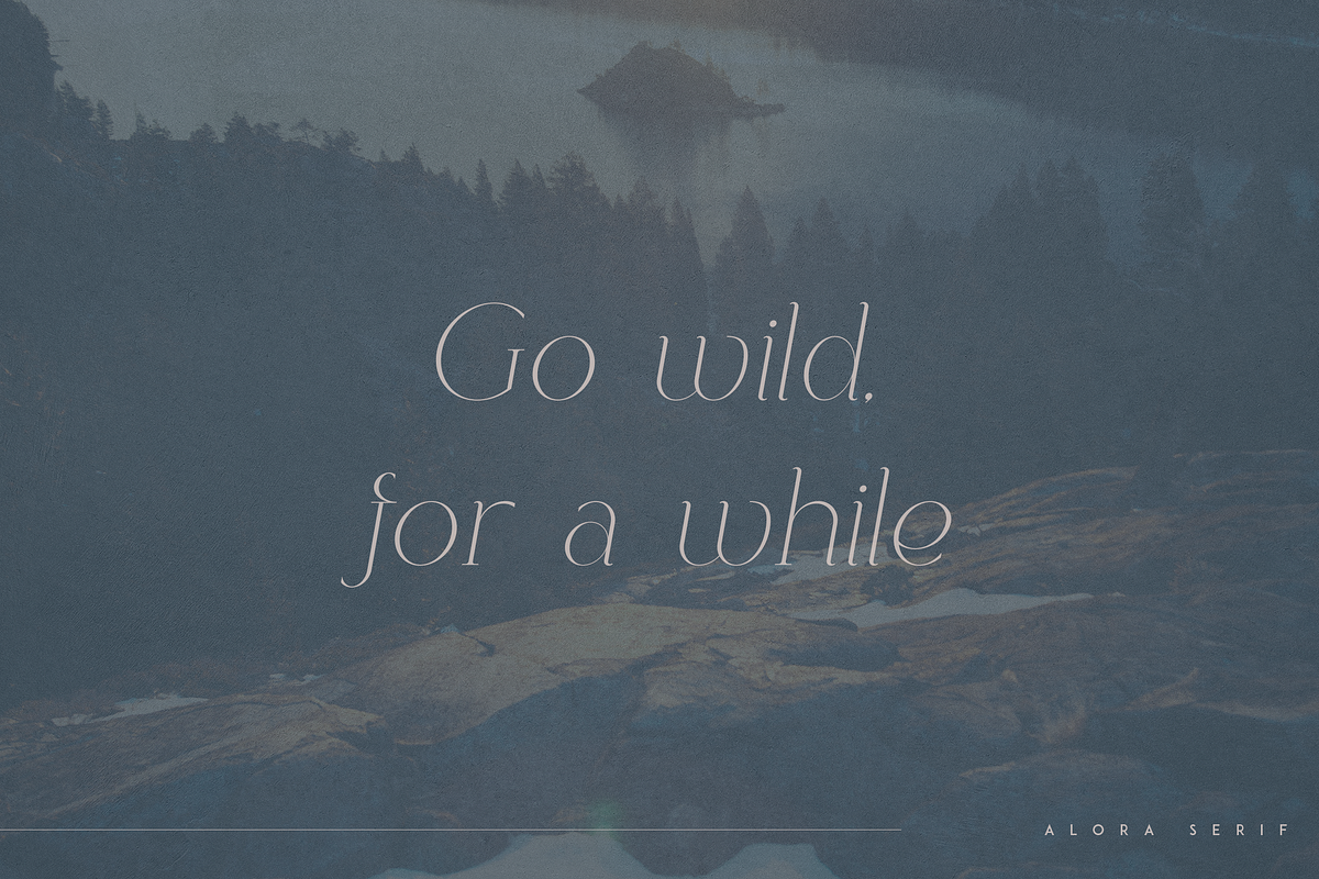 Alora - serif typeface | 4 fonts, a Serif Font by Only Fonts (Photo 6 of 10)