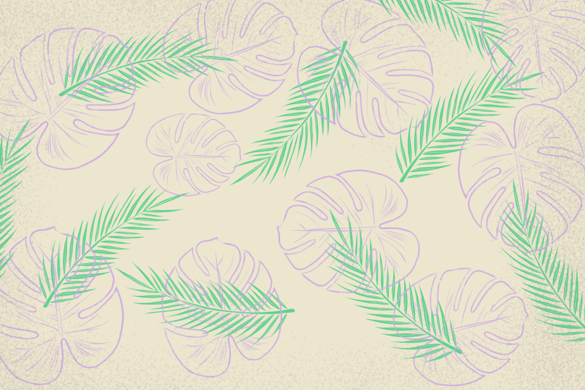 Procreate Tropical Leaves Brush Kit preview 3